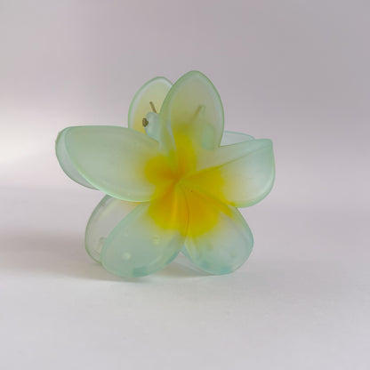 Korean Translucent Flower Claw Clips