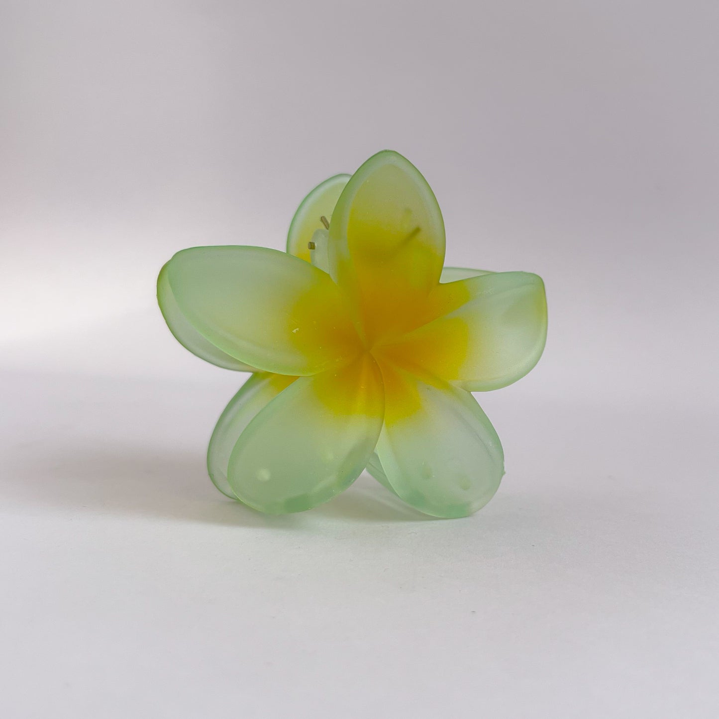 Korean Translucent Flower Claw Clips