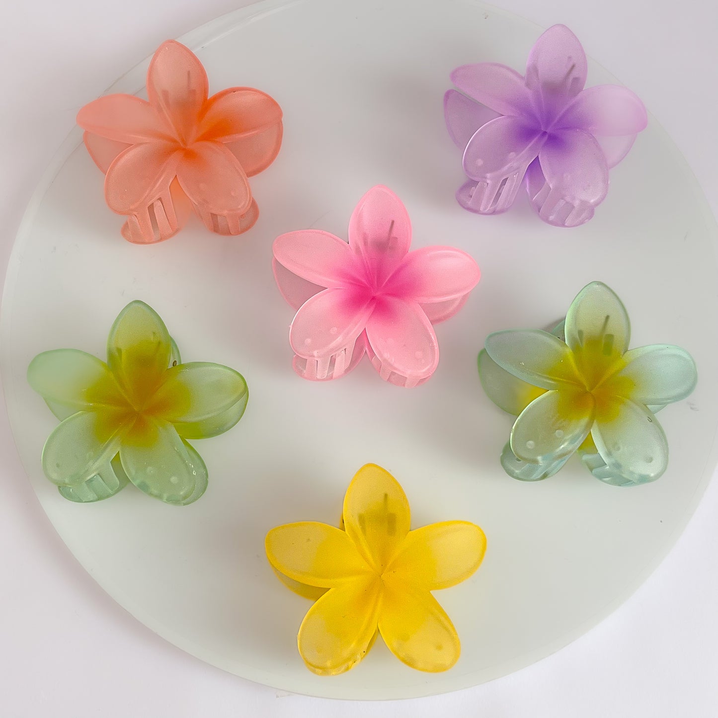 Korean Translucent Flower Claw Clips