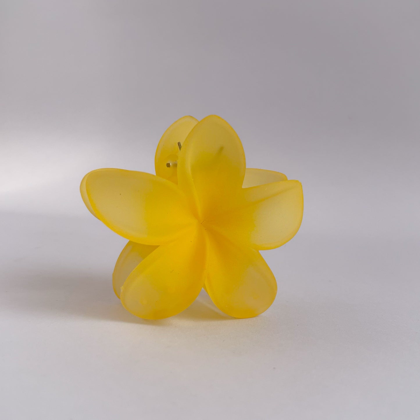 Korean Translucent Flower Claw Clips