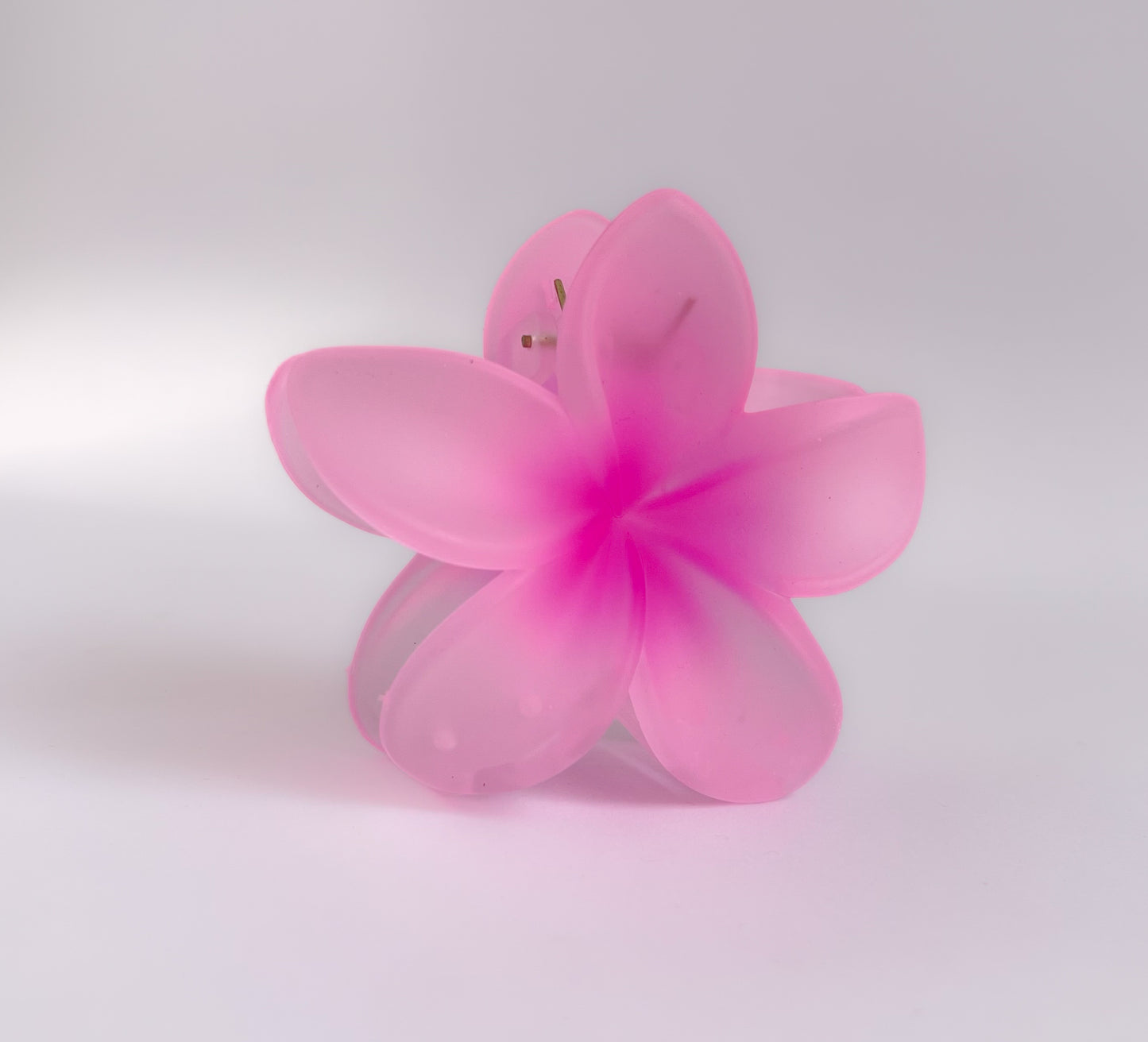 Korean Translucent Flower Claw Clips