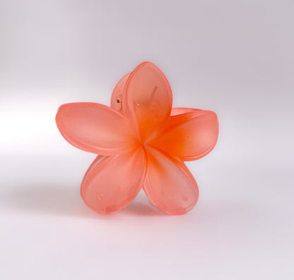 Korean Translucent Flower Claw Clips